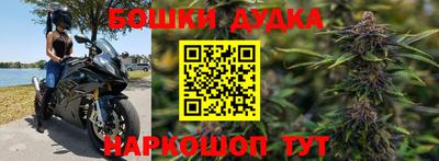 PSILOCYBIN Кандалакша