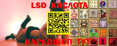 мдма Камышлов
