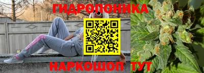 PSILOCYBIN Кимры