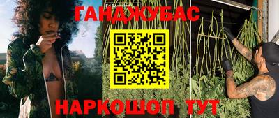 хмурый Кингисепп
